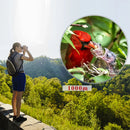 Jumelles Légères Randonnée