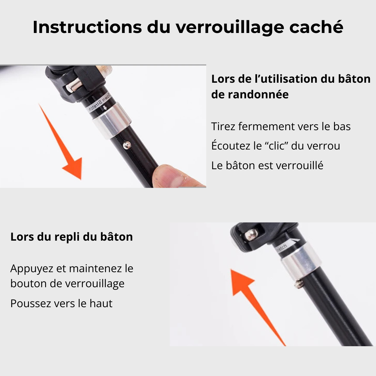 Bâtons de Marche Randonnée en Aluminium