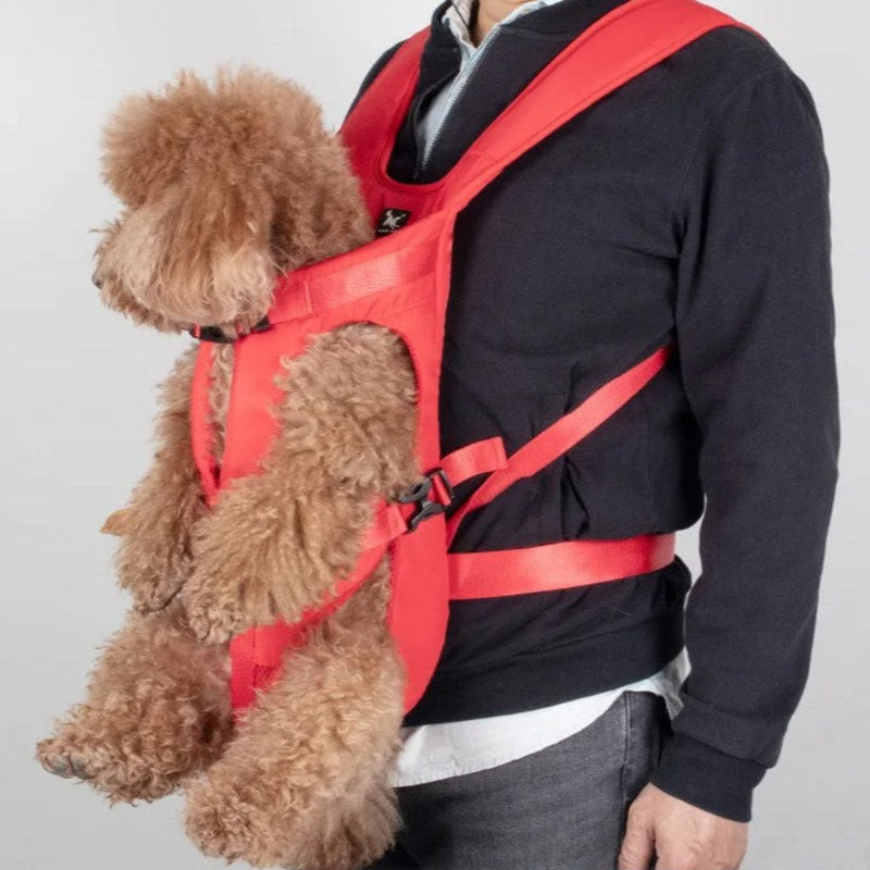 Porte Chien Ventral Randonnée