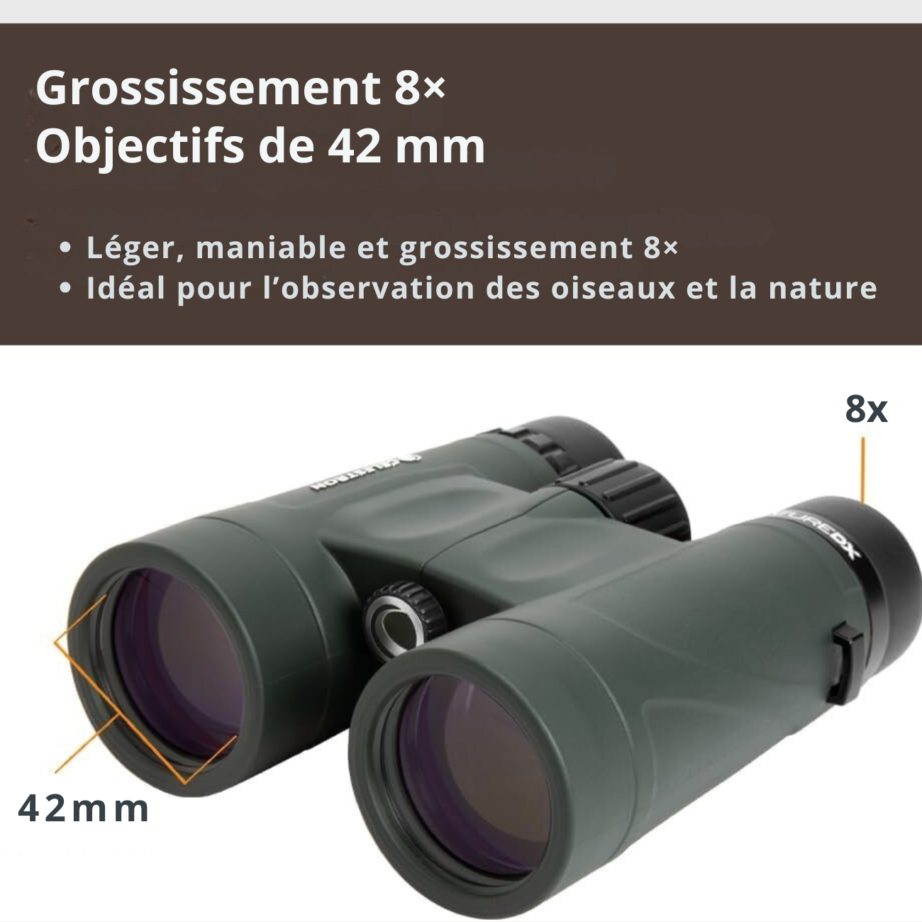 Jumelles de Poche Randonnée