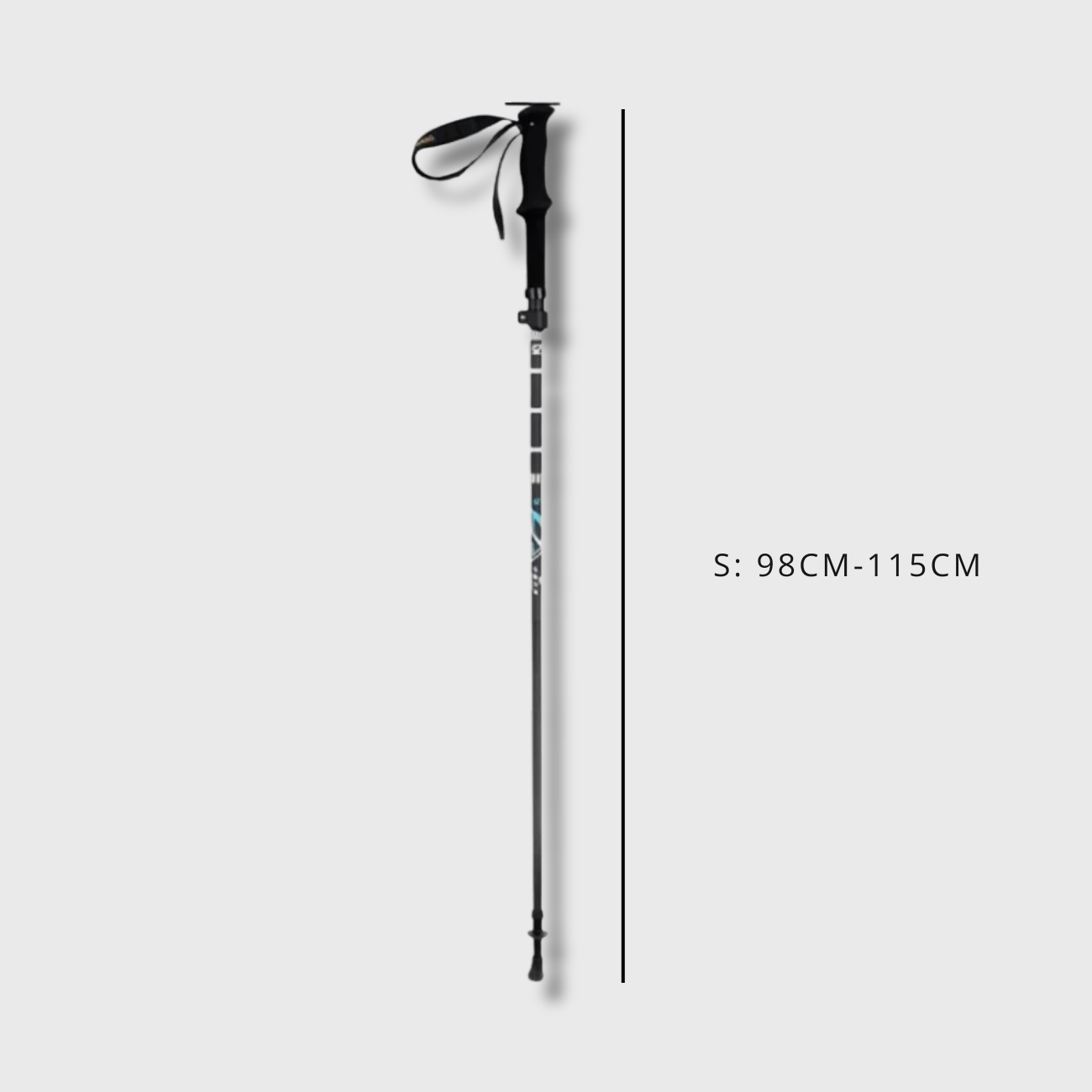 Bâtons de Randonnée en Fibre de Carbone