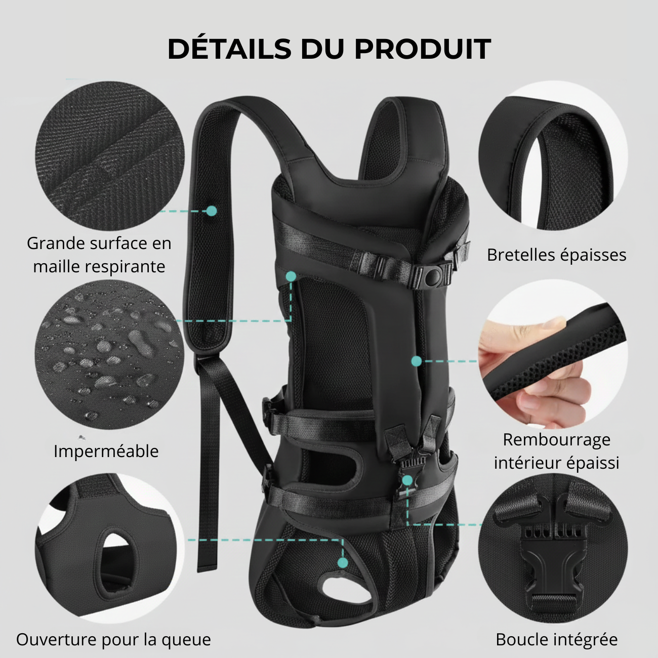 Porte Chien Ventral Randonnée