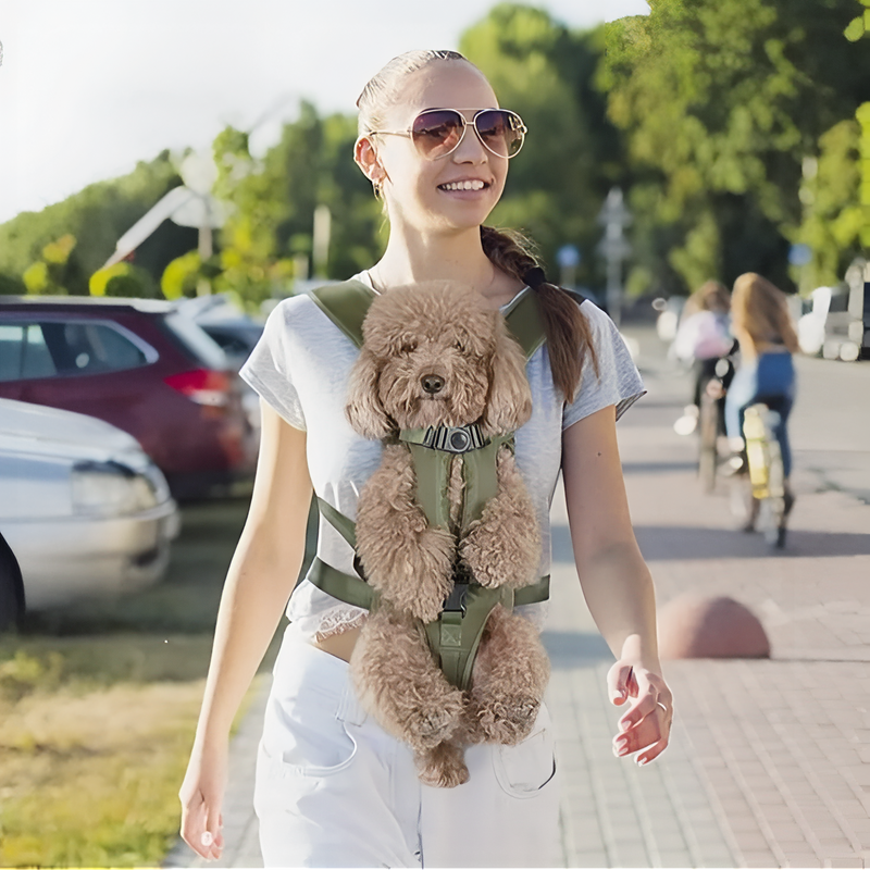 Porte Chien Ventral Randonnée