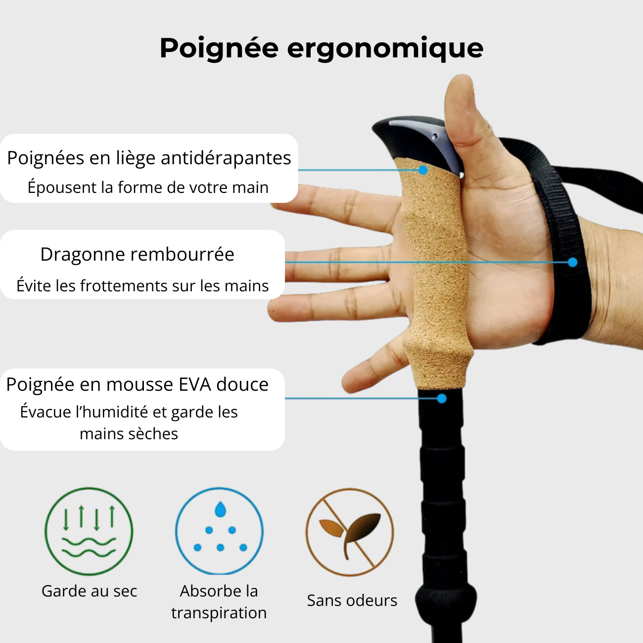 Bâtons de Marche Randonnée en Aluminium