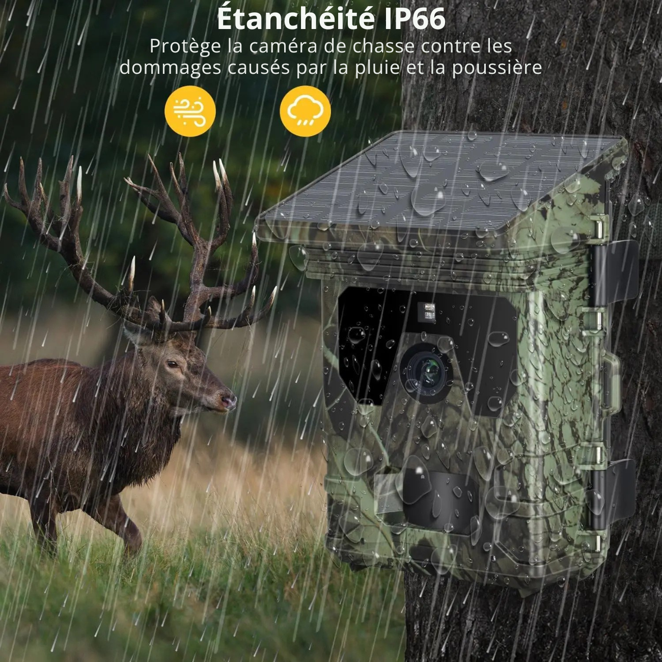 Caméra de Chasse Solaire