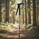 Bâtons de Trekking
