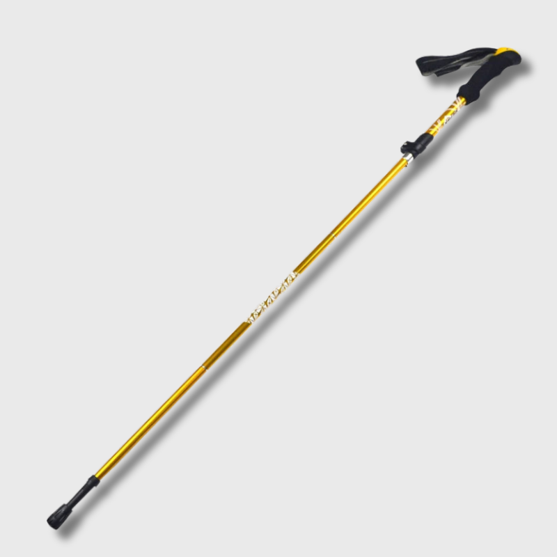 Bâton de Marche Trek Portable - DTYSTORE