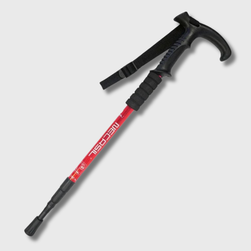 Bâtons de Trekking - DTYSTORE