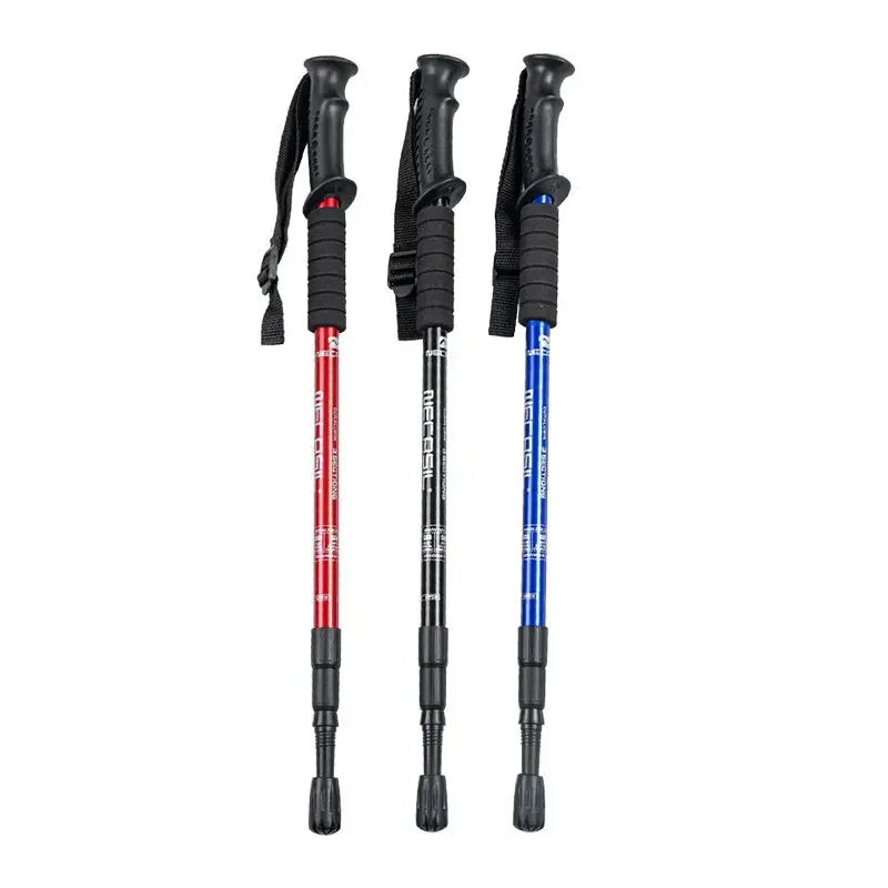 Bâtons de Trekking