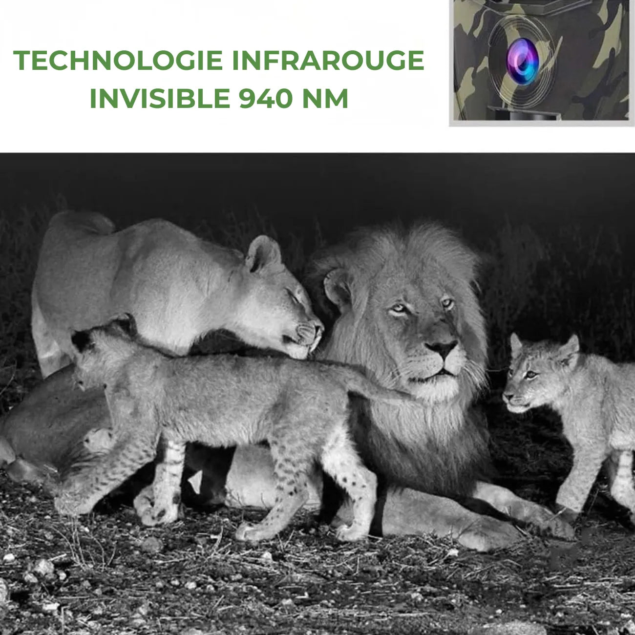 Caméra de Chasse 12MP HD