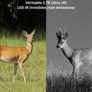 Caméra de Chasse 4G