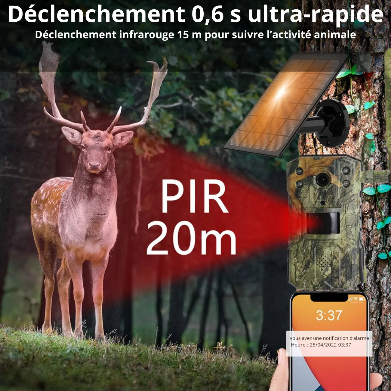 Caméra de Chasse 4G