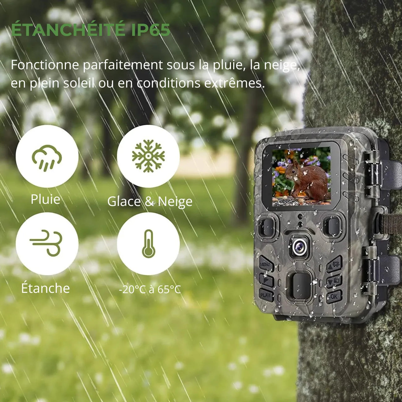 Caméra de Chasse Bluetooth