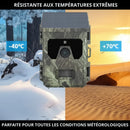 Caméra de Chasse Solaire