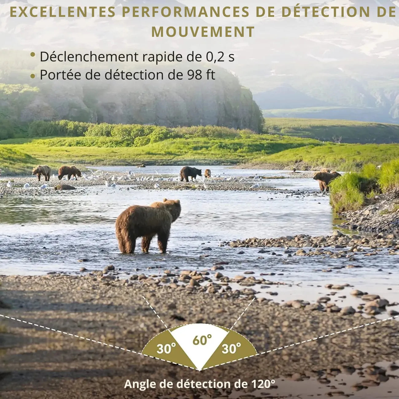 Caméra de Chasse Solaire