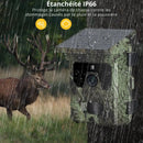 Caméra de Chasse Solaire