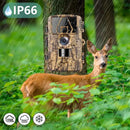 Caméra de Chasse Ultra HD