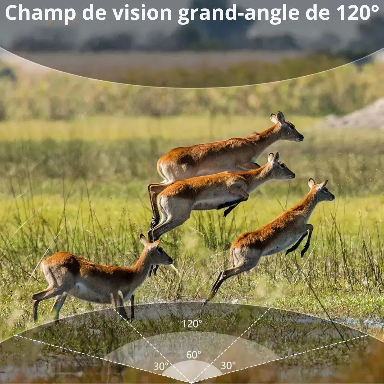 Caméra de Chasse Ultra HD