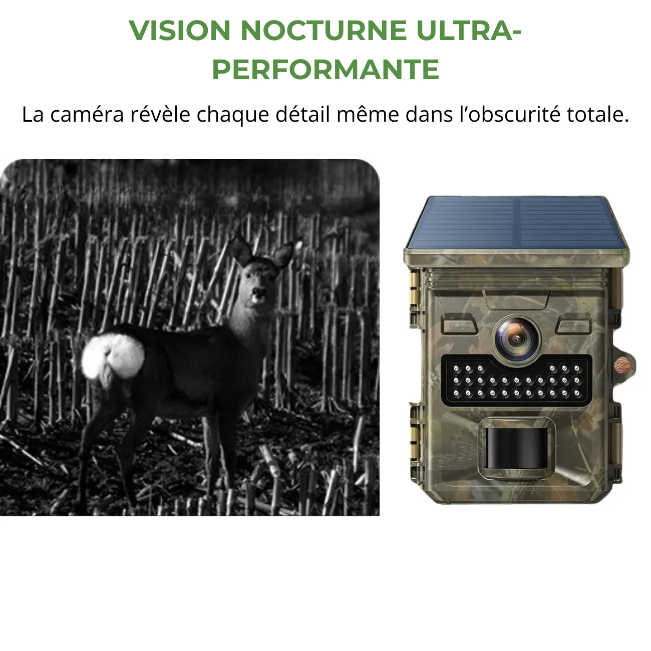 Caméra de Chasse avec Panneau Solaire
