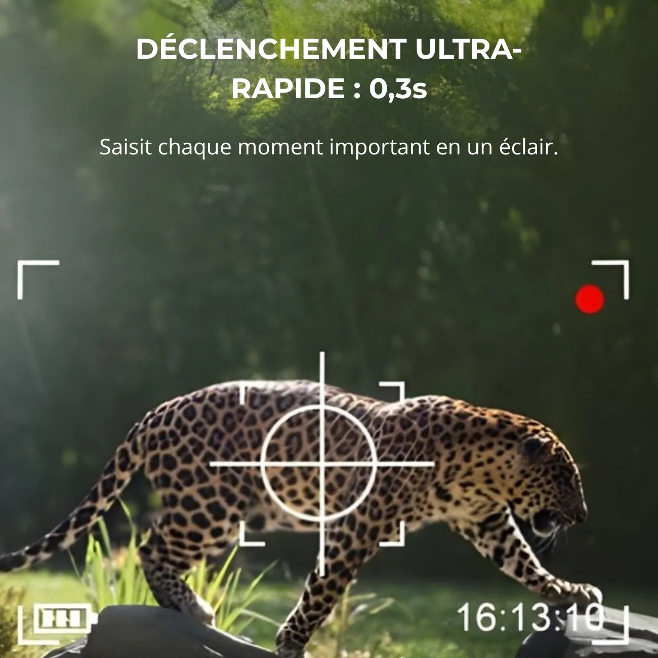 Caméra de Chasse avec Panneau Solaire