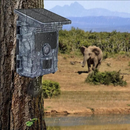 Caméra de Chasse Solaire - DTYSTORE