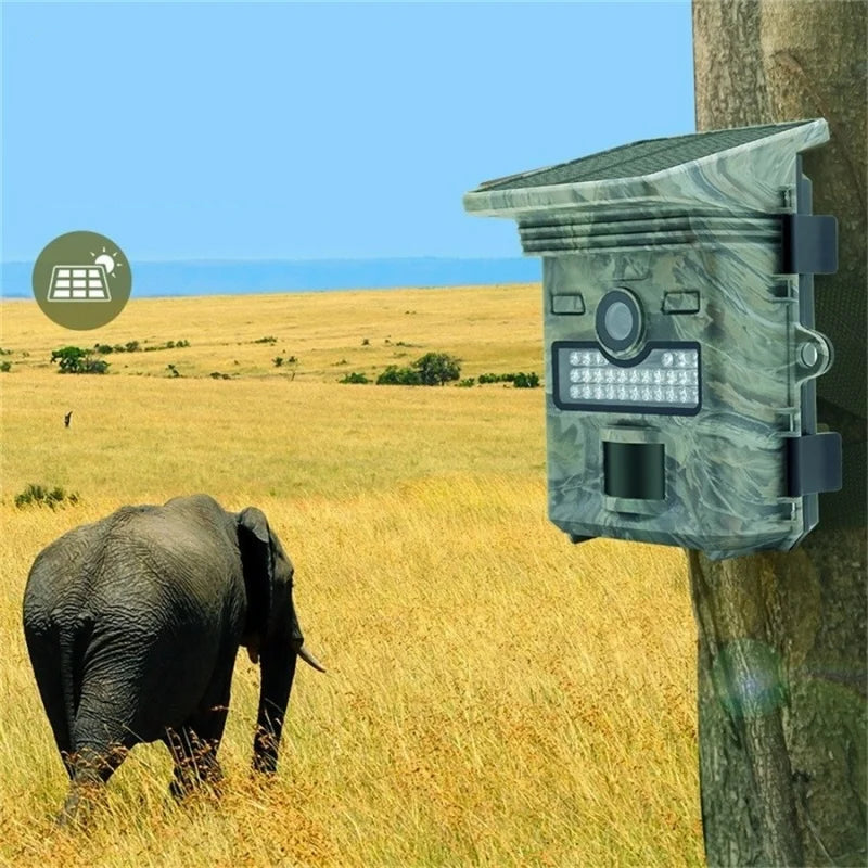 Caméra de Chasse avec Panneau Solaire - DTYSTORE