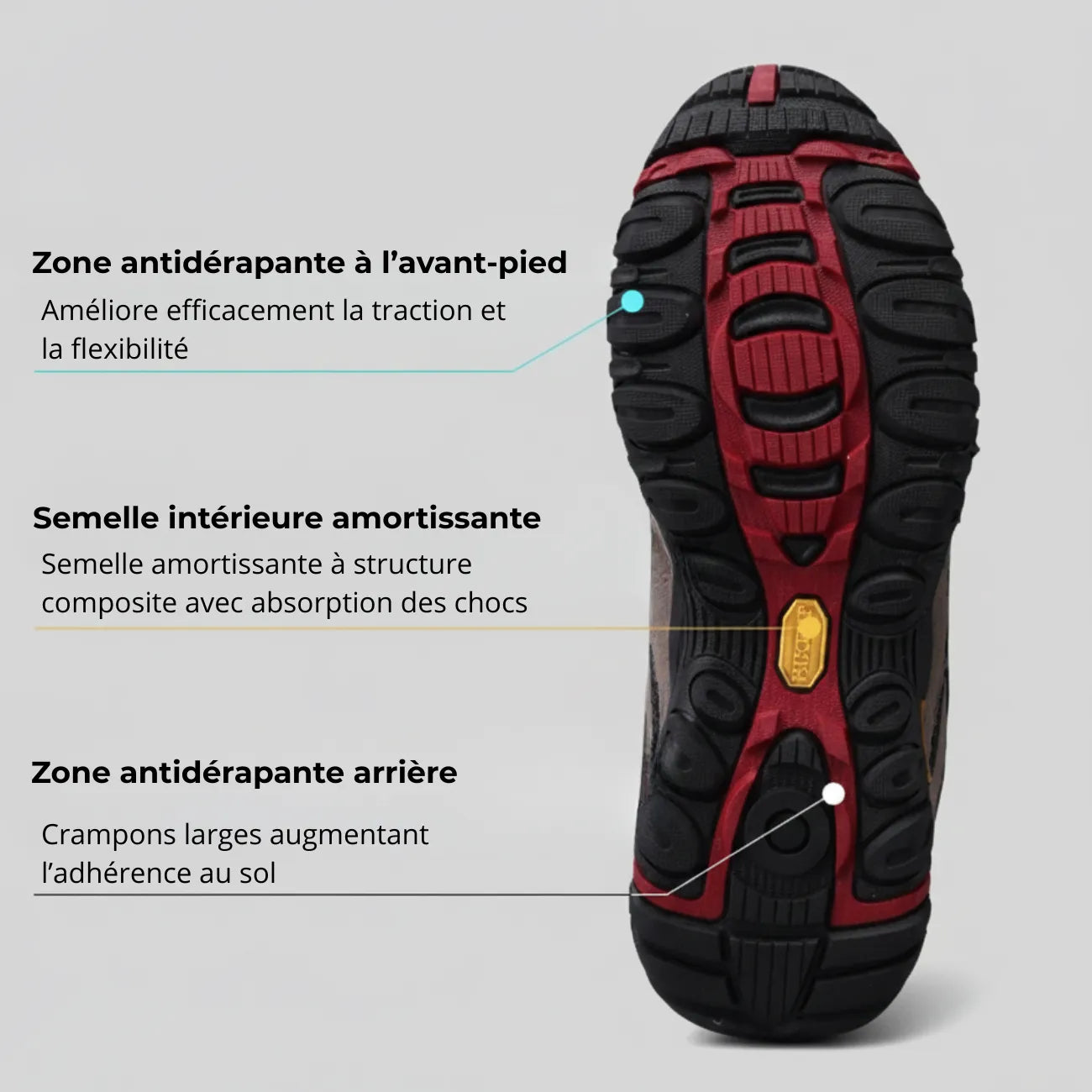 Chaussures de Marche pour Homme