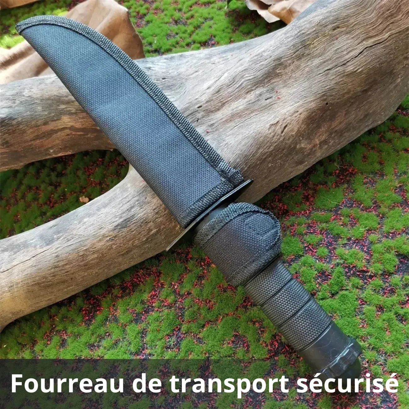 Couteau de Camp de Survie