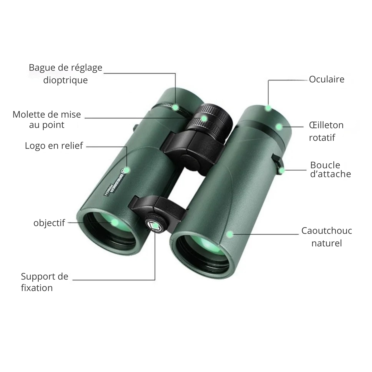 Jumelles Compactes Randonnée