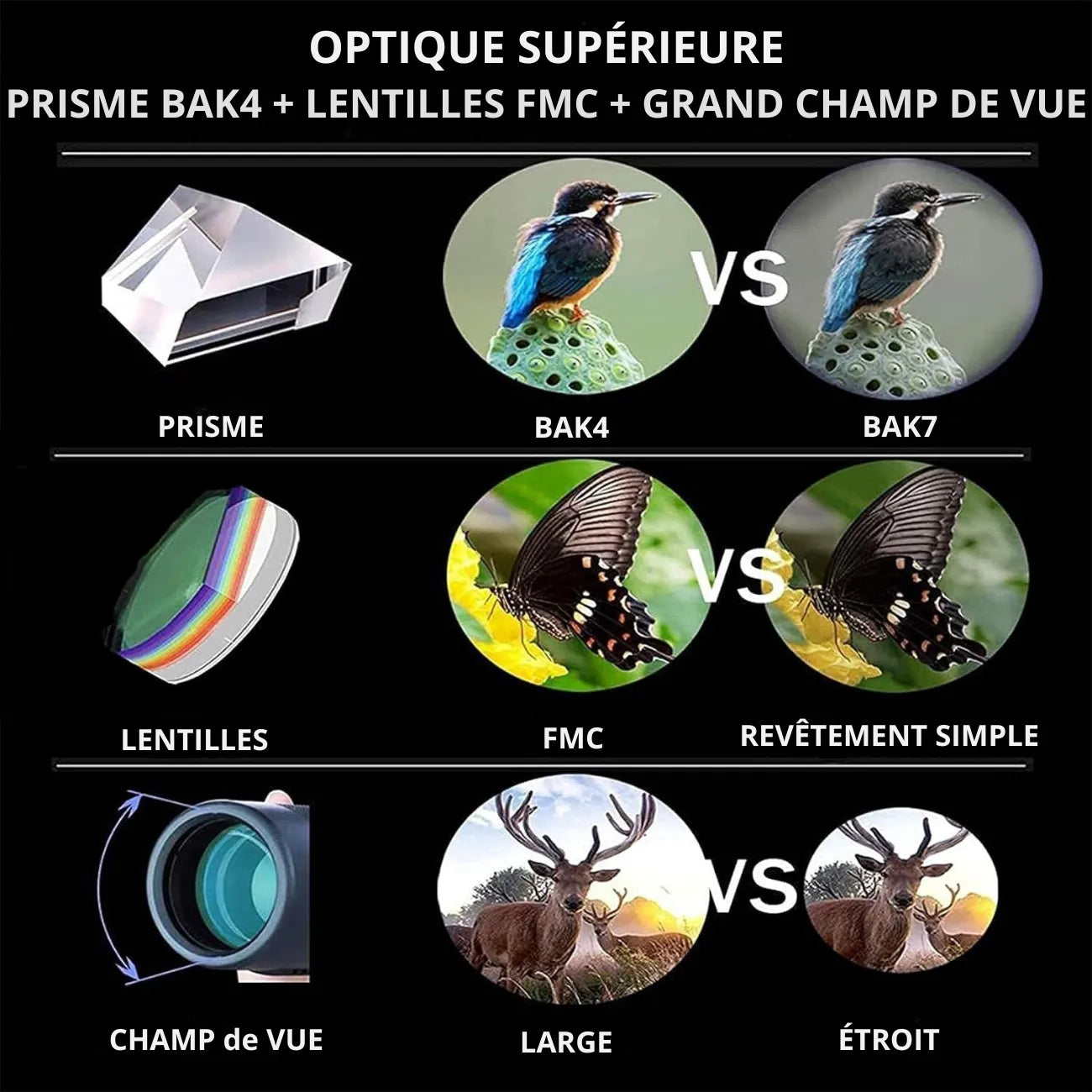 Jumelles Randonnée Puissante