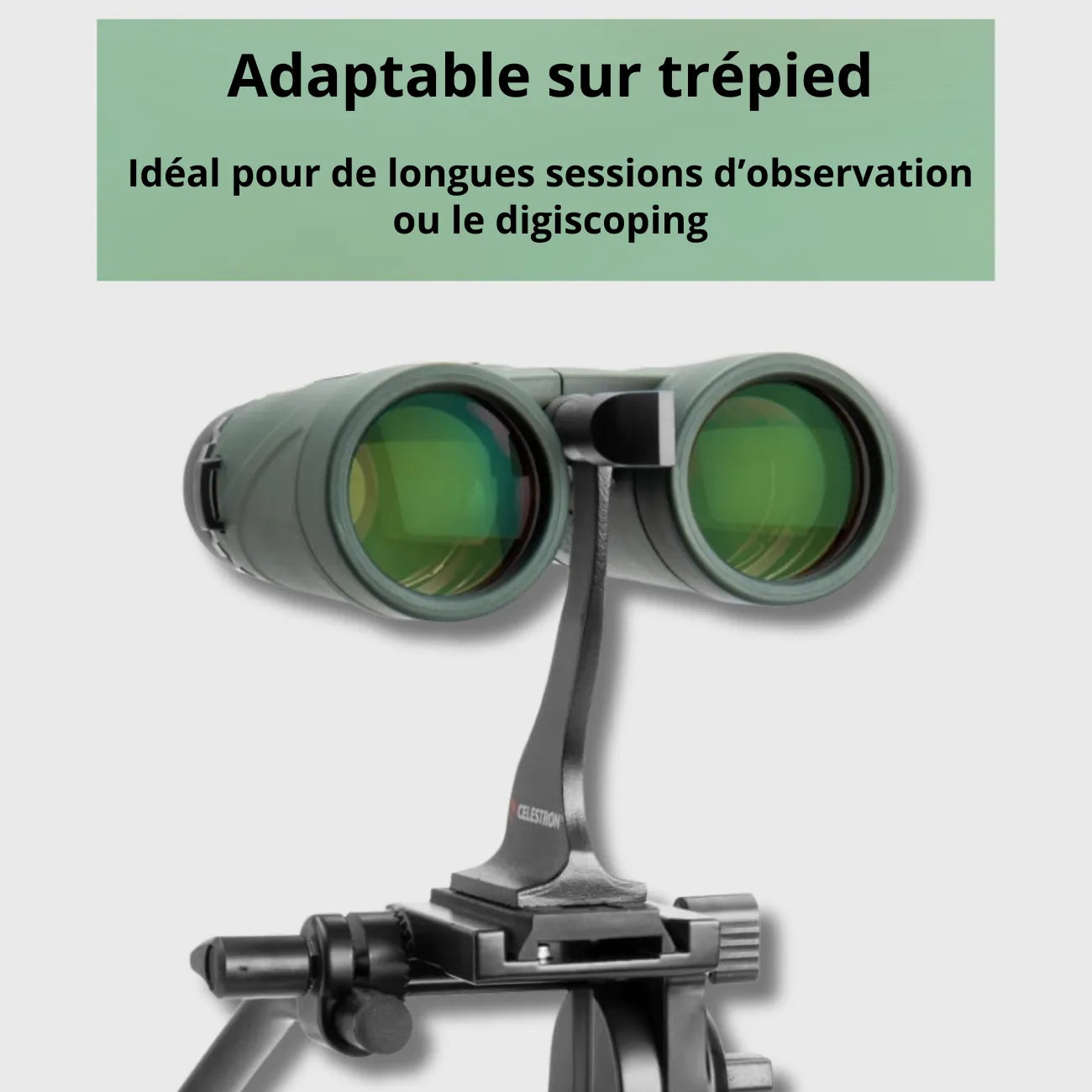 Jumelles de Poche Randonnée