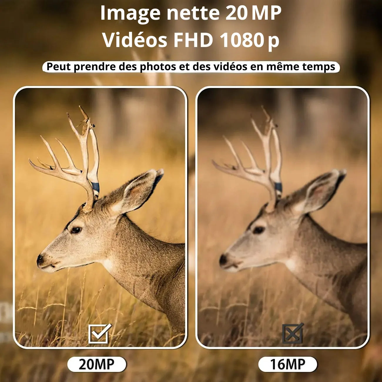 Mini Caméra de Chasse