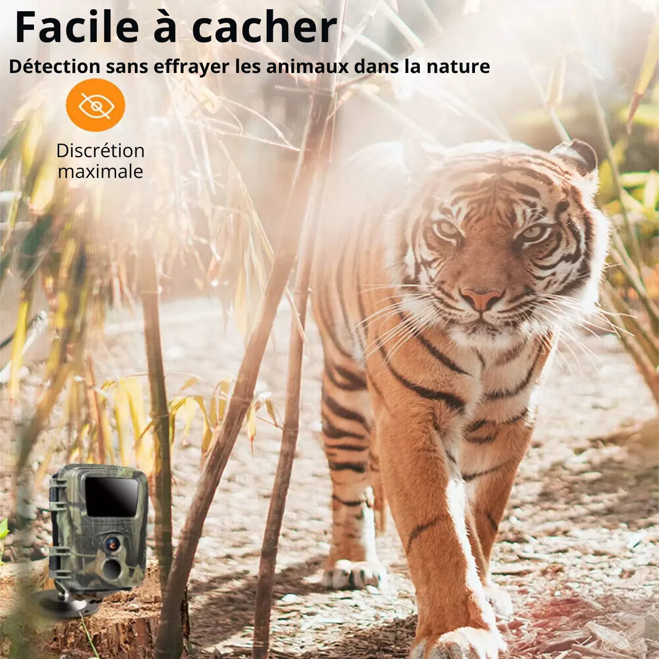 Mini Caméra de Chasse