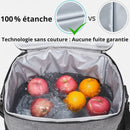 Sac Isotherme Thermos