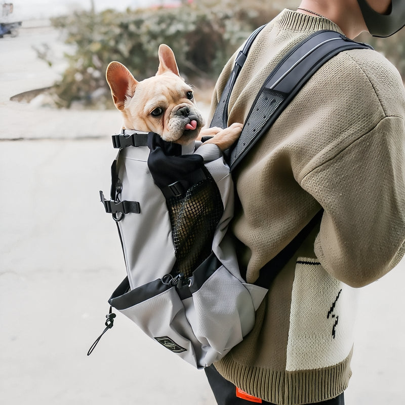 Sac Porte Chien Randonnée
