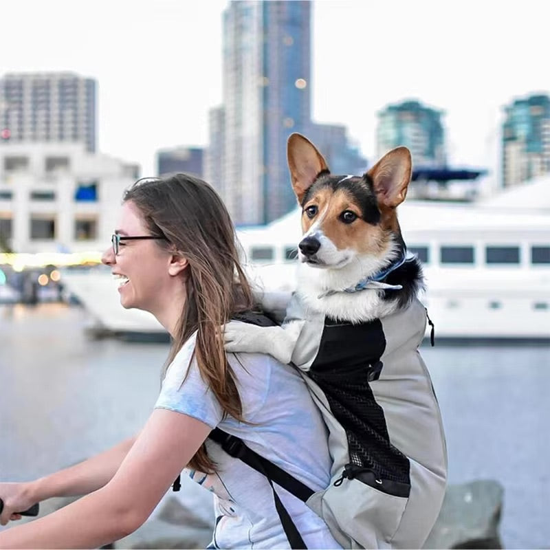 Sac Porte Chien Randonnée